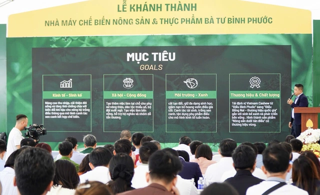 Vietnam unveils new initiative to support cashew farmers, promote sustainable growth- Ảnh 1.