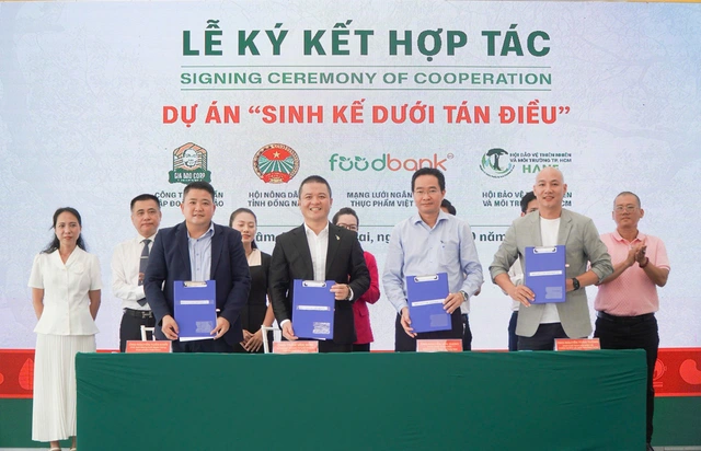 Vietnam unveils new initiative to support cashew farmers, promote sustainable growth- Ảnh 2.