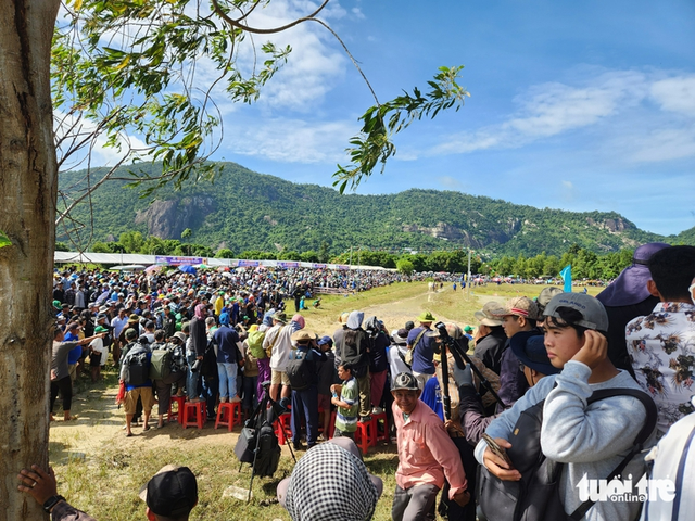 Thousands brave sun to watch ox racing festival in southern Vietnam- Ảnh 1.