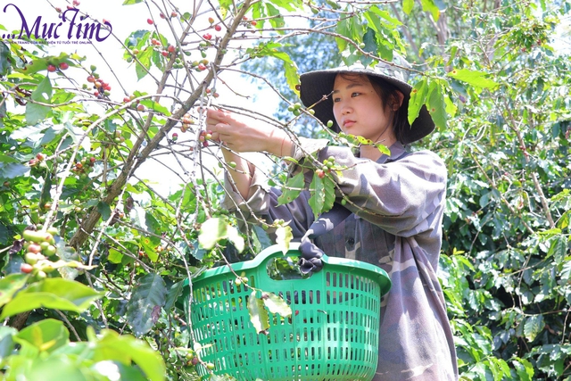 Bài số 2: “Con cứ yên tâm học, mọi chuyện để cha lo” - Ảnh 1.