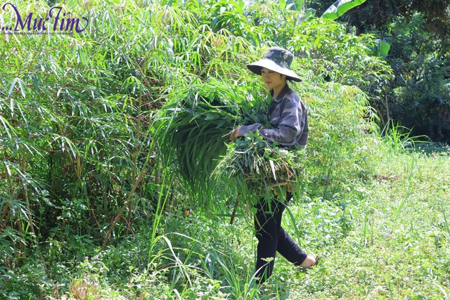 Bài số 2: “Con cứ yên tâm học, mọi chuyện để cha lo” - Ảnh 2.