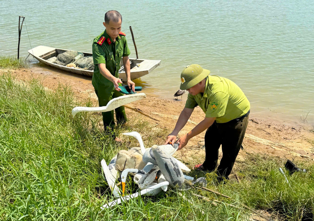 Thousands of migratory bird traps destroyed in north-central Vietnam 
- Ảnh 2. Thousands of migratory bird traps destroyed in north-central Vietnam 
- Ảnh 2.