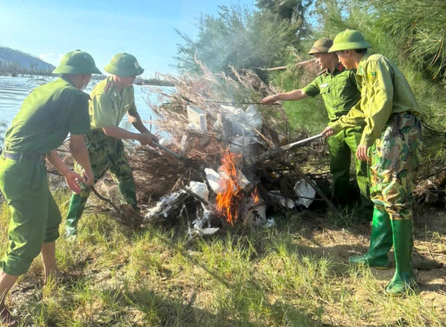 Thousands of migratory bird traps destroyed in north-central Vietnam 
- Ảnh 3. Thousands of migratory bird traps destroyed in north-central Vietnam 
- Ảnh 3.