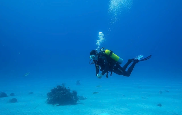 Diver dies, another critical after deep sea dive in central Vietnam- Ảnh 1.