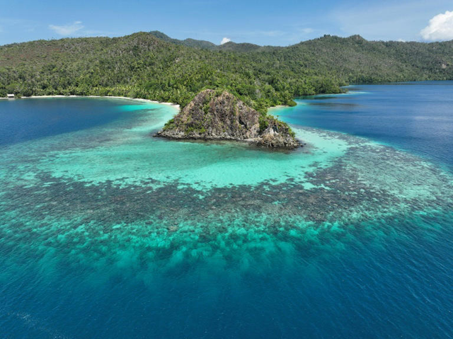 Nickel mining threatens Indonesia coral haven, NGOs warn- Ảnh 1.