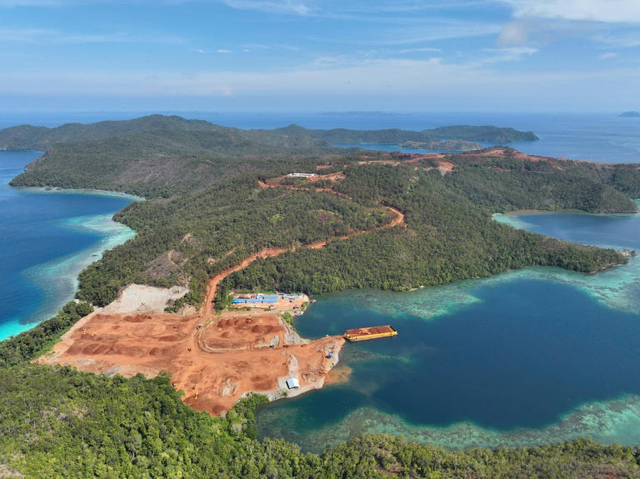 Nickel mining threatens Indonesia coral haven, NGOs warn- Ảnh 2.