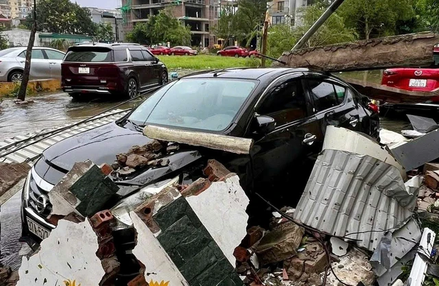 Bão Bualoi: Bí thư thôn bị cây đè chết khi đi trực bão - Ảnh 1.