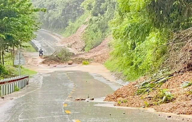 Bão Bualoi: Bí thư thôn bị cây đè chết khi đi trực bão - Ảnh 1.