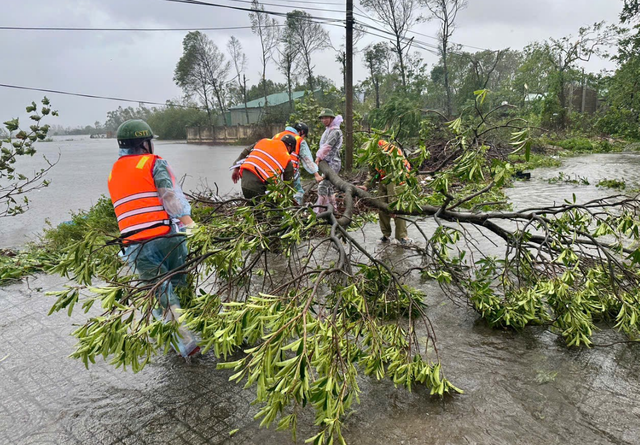 Storm Bualoi weakens as cleanup, rescue efforts intensify in Vietnam
- Ảnh 3.