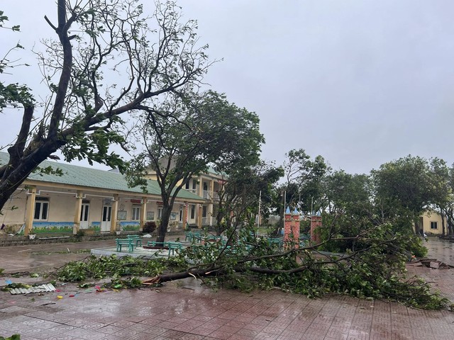 Trường học ở Hà Tĩnh, Thanh Hóa tan hoang do bão Bualoi- Ảnh 2. Trường học ở Hà Tĩnh, Thanh Hóa tan hoang do bão Bualoi- Ảnh 2.