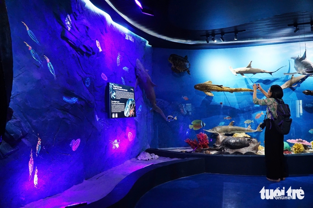 Nha Trang ocean museum exhibit takes visitors on journey 6,000 meters beneath sea- Ảnh 2.