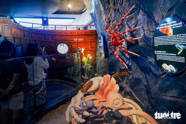 Nha Trang ocean museum exhibit takes visitors on journey 6,000 meters beneath sea- Ảnh 3.