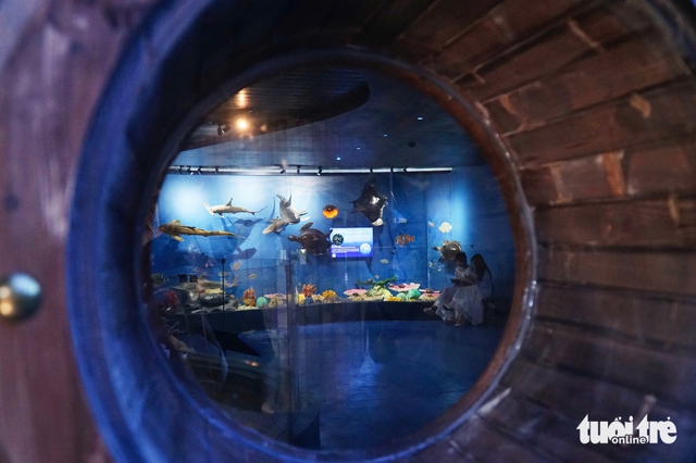 Nha Trang ocean museum exhibit takes visitors on journey 6,000 meters beneath sea- Ảnh 4.