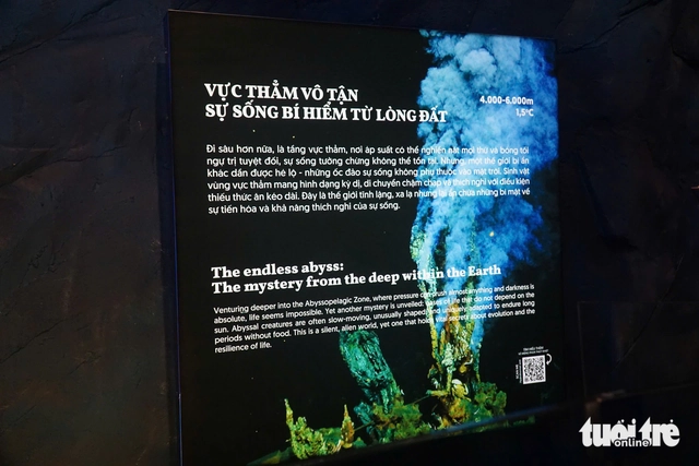 Nha Trang ocean museum exhibit takes visitors on journey 6,000 meters beneath sea- Ảnh 8.