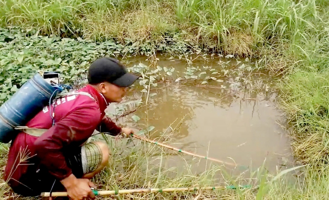 Tough laws, new ideas end electric fishing in Vietnam’s Ca Mau- Ảnh 2. Tough laws, new ideas end electric fishing in Vietnam’s Ca Mau- Ảnh 2.