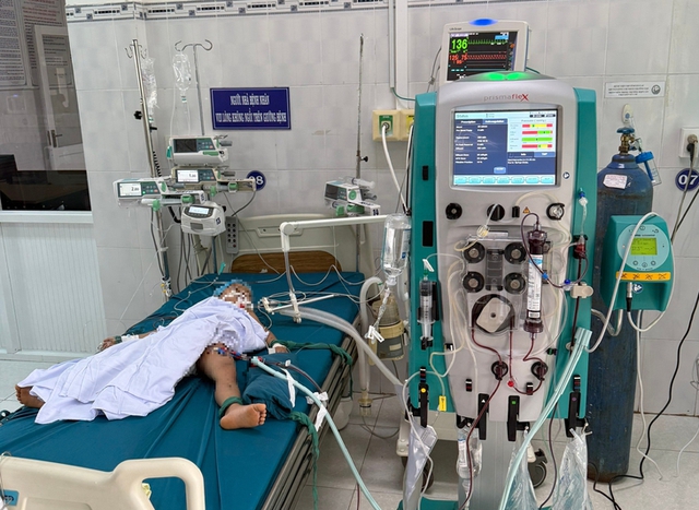 Wasp stings kill 2, injure 3 children in Vietnam - Ảnh 1.