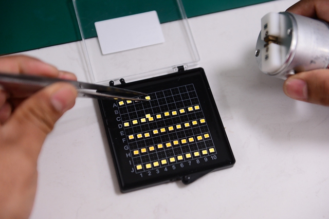 Vietnam to enforce sweeping digital, telecom, data laws this year- Ảnh 1.