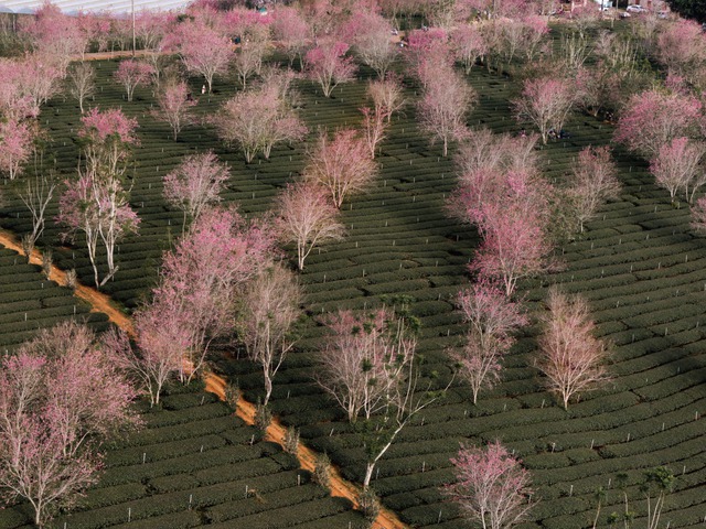 Breakfast @ Tuoi Tre News - January 10- Ảnh 1. Breakfast @ Tuoi Tre News - January 10- Ảnh 1.