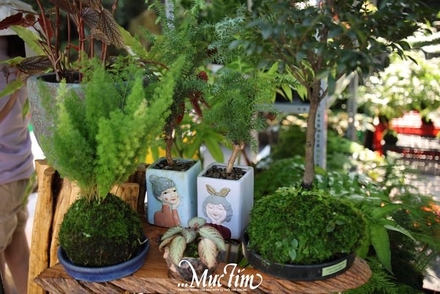 Thảo cầm viên lan tỏa thông điệp sống xanh tại Triển lãm kiểng lá năm2026 - Ảnh 2.