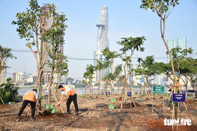 Hundreds of trees planted at Thu Thiem riverside park to mark first Vietnam Tree Day- Ảnh 1.