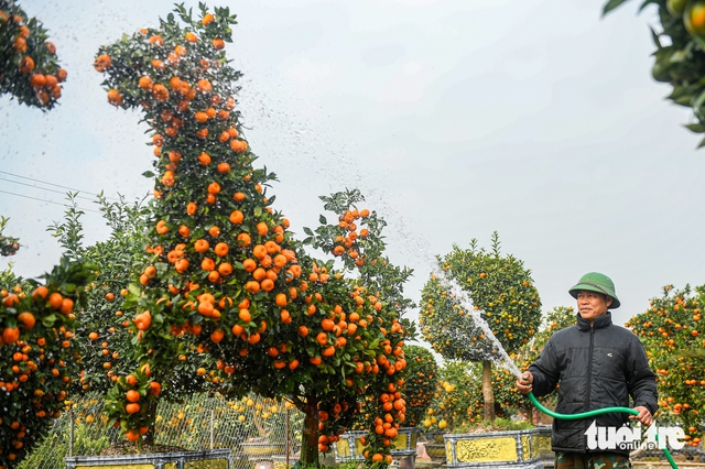 Breakfast @ Tuoi Tre News - January 13- Ảnh 1.