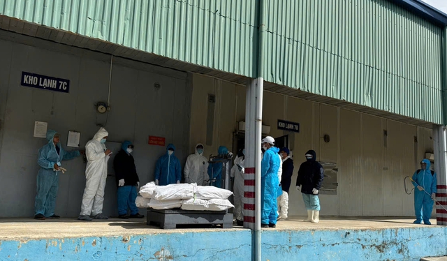 CEO of leading Vietnam food company charged in diseased pork probe - Ảnh 1.