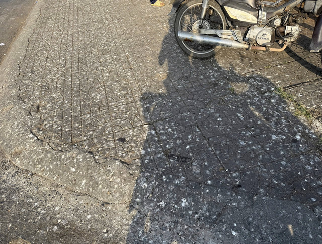 Swallows linger too long, foul streets in Vietnam’s Can Tho
- Ảnh 1.