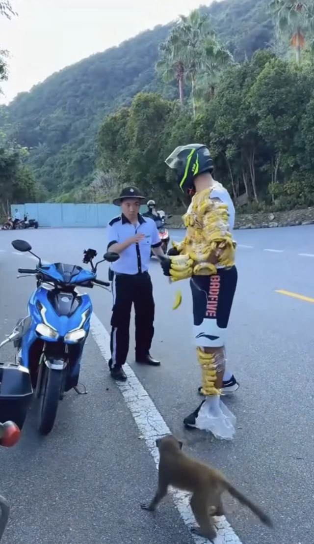 Authorities verify video of foreigner strapping bananas on body to tease wild monkeys in Da Nang
- Ảnh 3.
