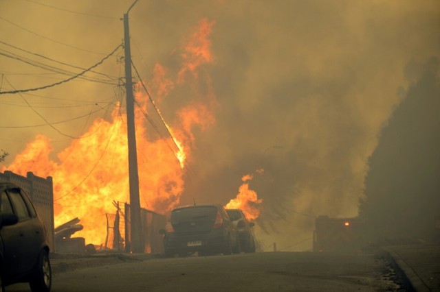 Chile declares emergency as wildfires kill at least 19- Ảnh 3.