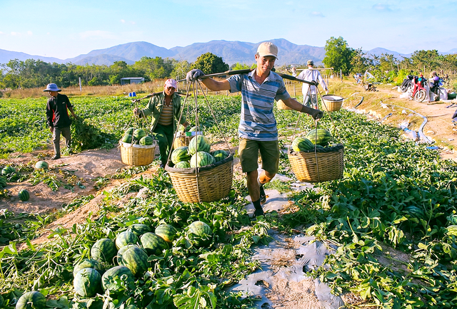 Breakfast @ Tuoi Tre News — January 19- Ảnh 1.