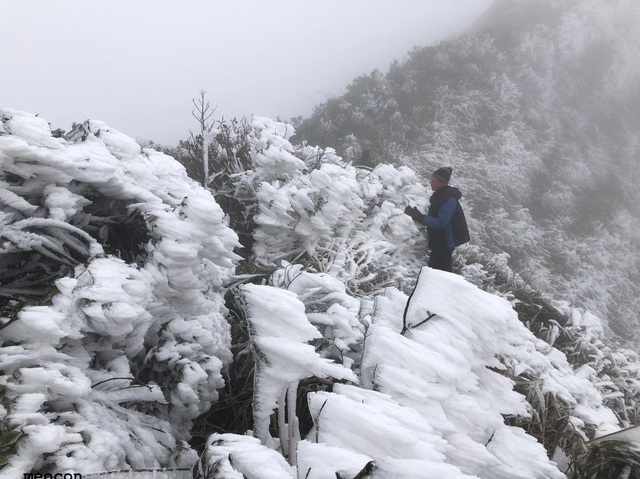 Cold surge forecast to bring severe chill, rain across northern Vietnam - Ảnh 1.