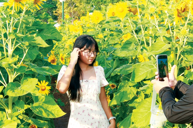 Check-in những vườn hoa tết miễn phí ở TP.HCM chưa bạn ơi! - Ảnh 6.