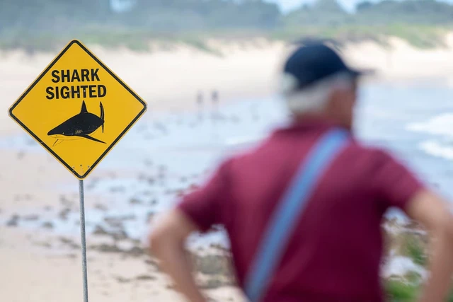 Australia shuts dozens of east coast beaches after shark attacks- Ảnh 1.