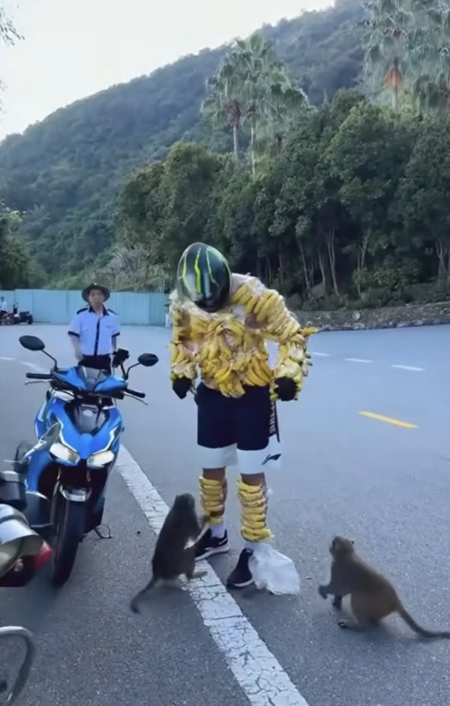 Feeding wild monkeys in Vietnam: When misplaced kindness causes lasting harm- Ảnh 1.