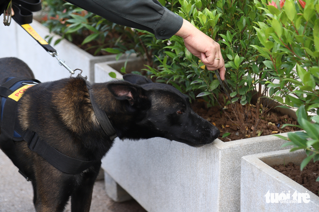 Snipers, police dogs deployed to safeguard Vietnam’s 14th National Party Congress- Ảnh 1. Snipers, police dogs deployed to safeguard Vietnam’s 14th National Party Congress- Ảnh 1.
