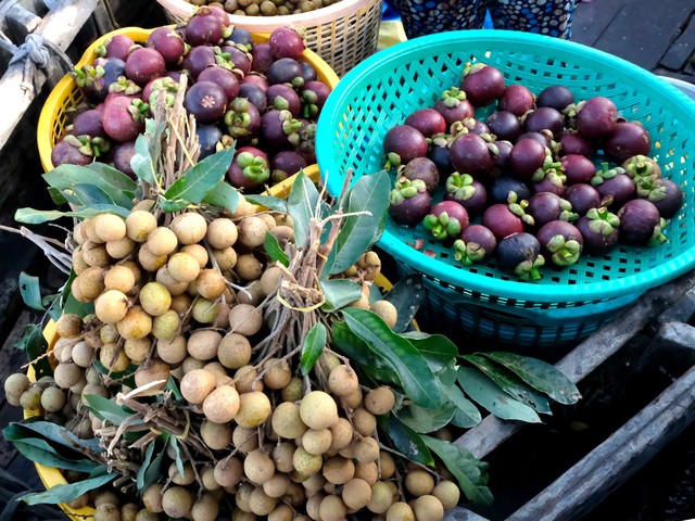 Horticulture gains ground in Vietnam’s Mekong Delta, fragmented production limits exports: Dutch embassy- Ảnh 2. Horticulture gains ground in Vietnam’s Mekong Delta, fragmented production limits exports: Dutch embassy- Ảnh 2.