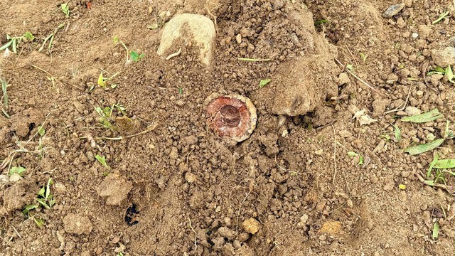 Unexploded cluster bomb found at elementary school in central Vietnam- Ảnh 1. Unexploded cluster bomb found at elementary school in central Vietnam- Ảnh 1.