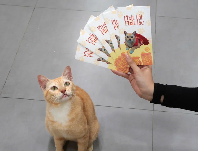 Thảo Cầm Viên tổ chức giao lưu thú viên vào mỗi cuối tuần - Ảnh 6.