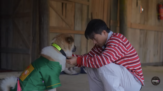 Gia đình Haha gặt bắp và xây nhà cho mèo Lướng trong tập 17 - Ảnh 3. Gia đình Haha gặt bắp và xây nhà cho mèo Lướng trong tập 17 - Ảnh 3.