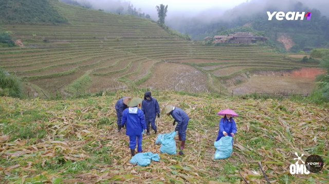 Gia đình Haha gặt bắp và xây nhà cho mèo Lướng trong tập 17 - Ảnh 6. Gia đình Haha gặt bắp và xây nhà cho mèo Lướng trong tập 17 - Ảnh 5.