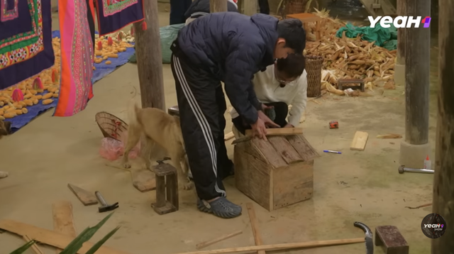 Gia đình Haha gặt bắp và xây nhà cho mèo Lướng trong tập 17 - Ảnh 7. Gia đình Haha gặt bắp và xây nhà cho mèo Lướng trong tập 17 - Ảnh 6.