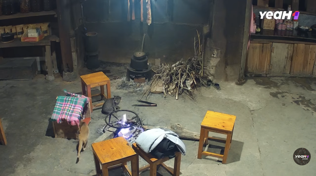 Gia đình Haha gặt bắp và xây nhà cho mèo Lướng trong tập 17 - Ảnh 9. Gia đình Haha gặt bắp và xây nhà cho mèo Lướng trong tập 17 - Ảnh 8.