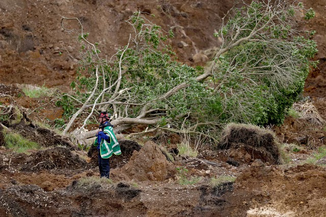 Survivors unlikely in New Zealand landslide, police say - Ảnh 2.