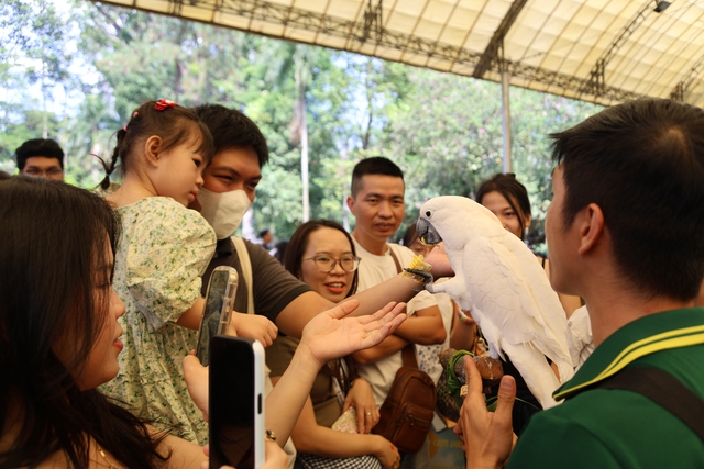 Thảo Cầm Viên tổ chức giao lưu thú viên vào mỗi cuối tuần - Ảnh 1.