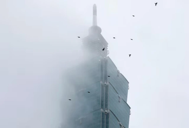 'Free solo' climb of Taiwan's tallest building postponed due to weather - Ảnh 1.