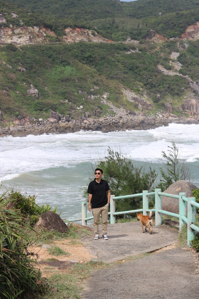 Chú chó vàng 5 sao trên Google Maps và câu chuyện về người dẫn đường đặc biệt- Ảnh 2.