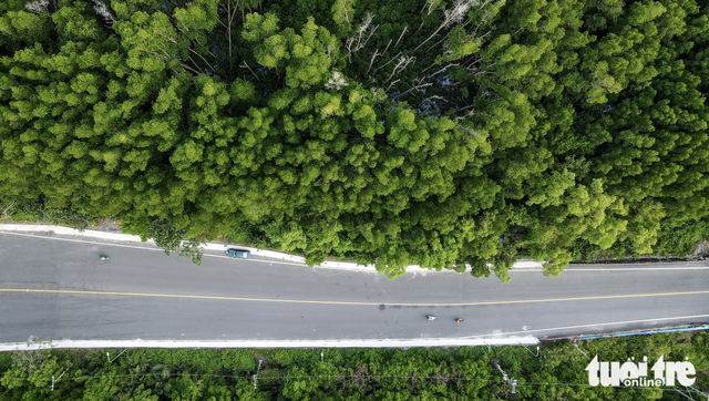 Transport projects bring Can Gio closer to downtown Ho Chi Minh City
- Ảnh 12. Transport projects bring Can Gio closer to downtown Ho Chi Minh City
- Ảnh 12.