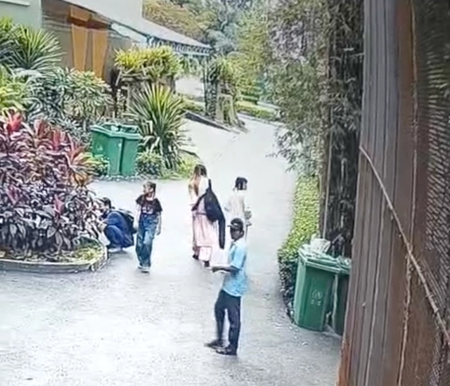 Ho Chi Minh City police recover white swan stolen from zoo, arrest suspect in Tay Ninh- Ảnh 1.