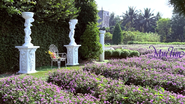 Rực rỡ vườn hoa Mãn Đình Hồng tỉnh Đồng Tháp - Ảnh 2.