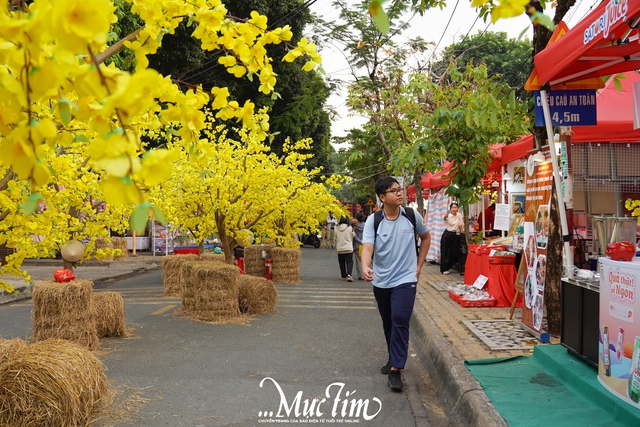 Check-in con đường mai vàng, bức tường heo đất tại lễ hội Tết Việt phường Thủ Đức- Ảnh 9. Check-in con đường mai vàng, bức tường heo đất tại lễ hội Tết Việt phường Thủ Đức- Ảnh 9.
